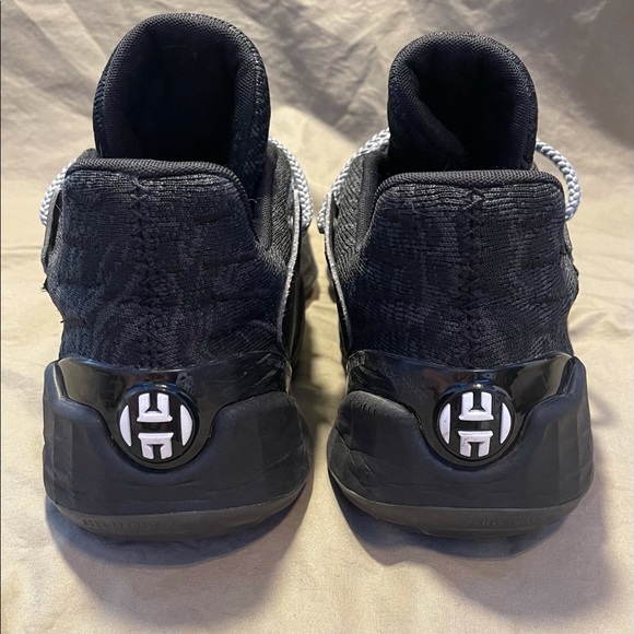 Harden 4 - Picture 5 of 6